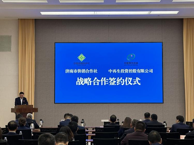 东莞市凌艺科技有限公司——创新与发展的双面镜