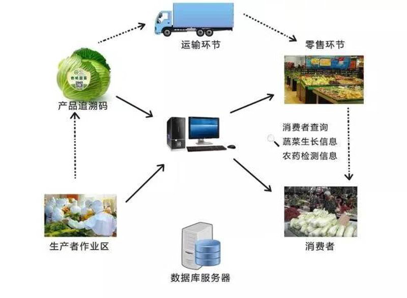 凌艺手表专营店怎么样？从数据看未来