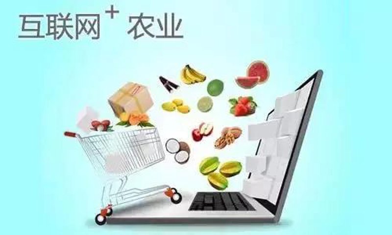 东莞市凌艺科技有限公司：合作伙伴的选择与成长